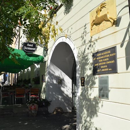 Akzent Hotel Goldner Hirsch คาเมนซ์ ภายนอก รูปภาพ